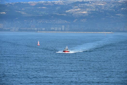 好的，我会根据您的要求进行文本优化