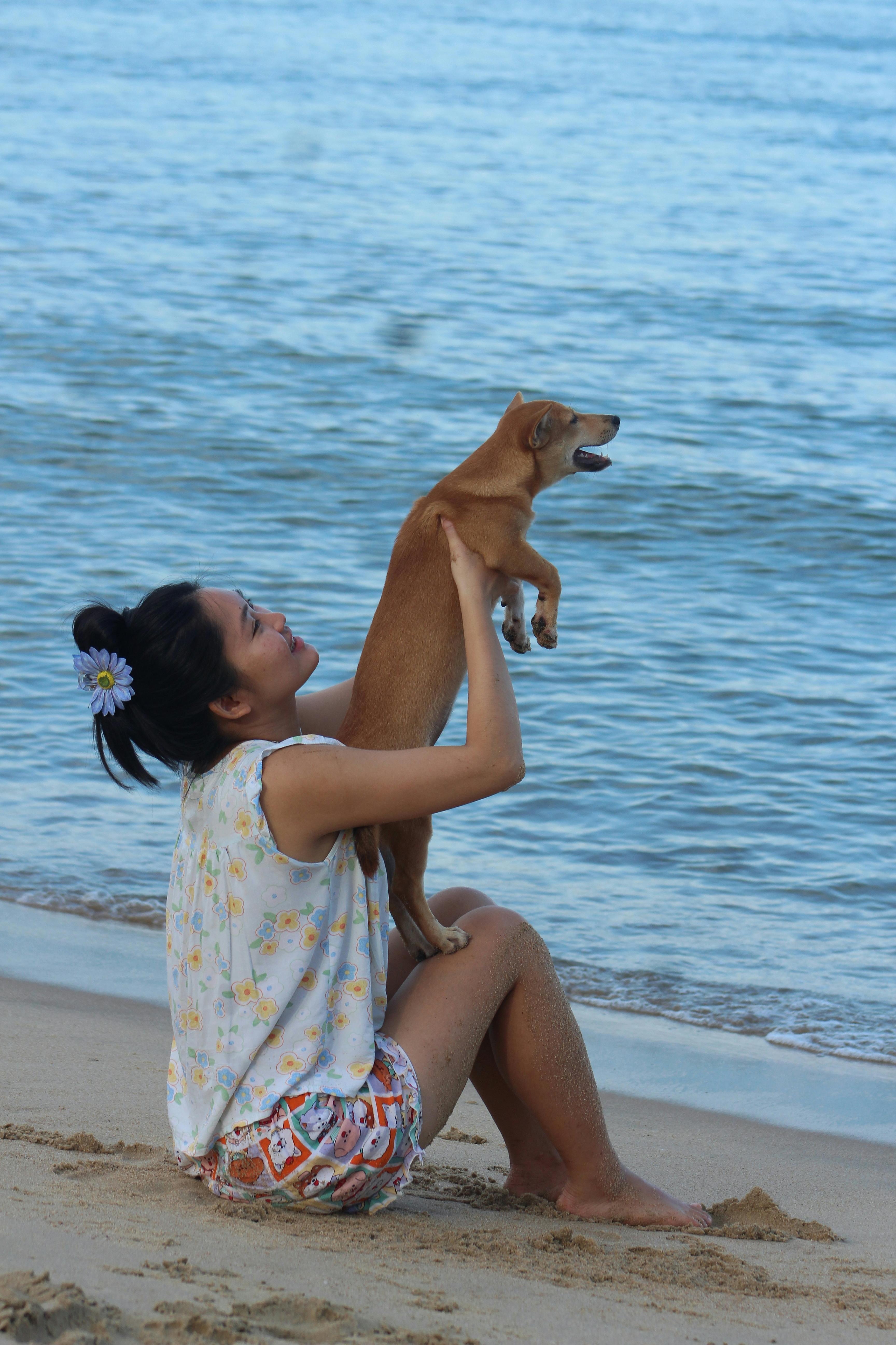 好的，我会按照您的要求进行句子的调整