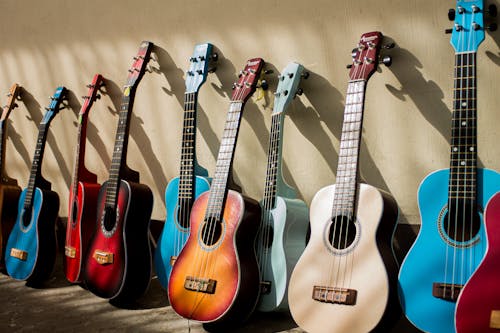 Free Photo Of Assorted Acoustic Guitars Stock Photo