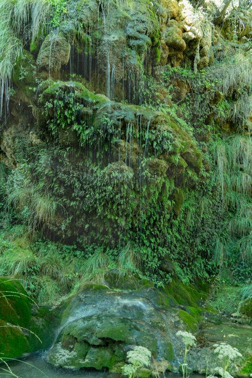 Free Green moss covers rocks with water trickling down in Bogarra, Spain. Stock Photo