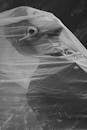 Artistic Black and White Veiled Portrait