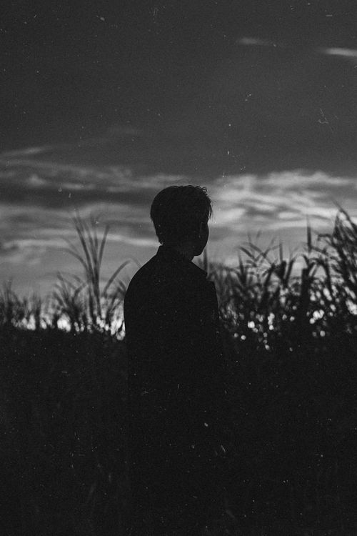 Free Moody black and white silhouette of a person standing in a field at twilight, evoking a sense of solitude. Stock Photo