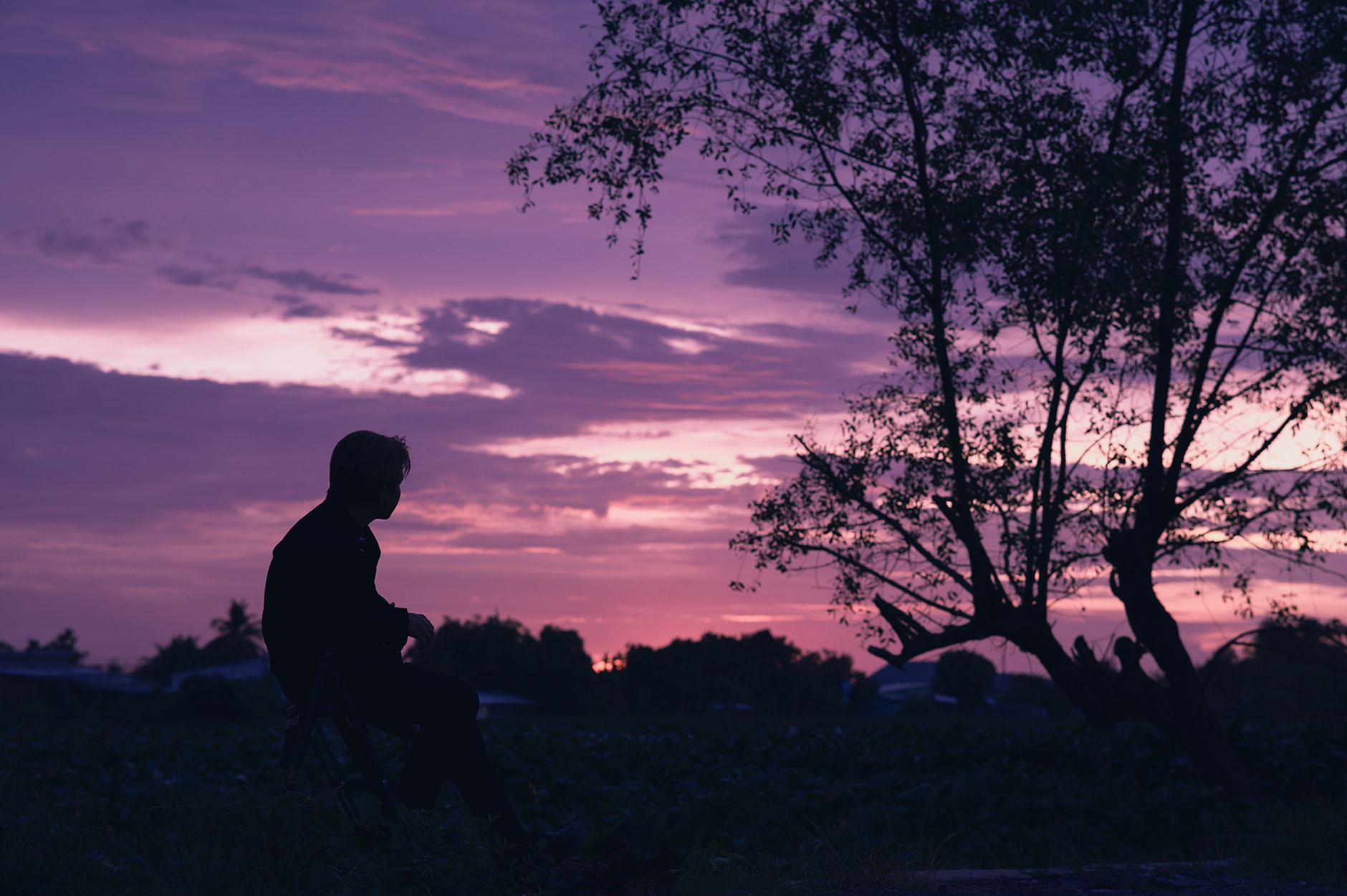 A tranquil silhouette of a seated person under a tree against a vibrant sunset in Đồng Tháp, Vietnam.