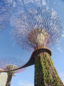 好的，我会按照您的要求进行句子的优化