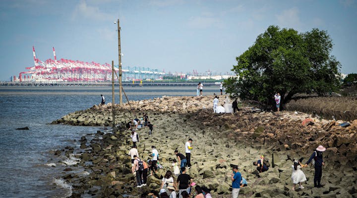 Buques portacontenedores y grúas en un puerto asiático