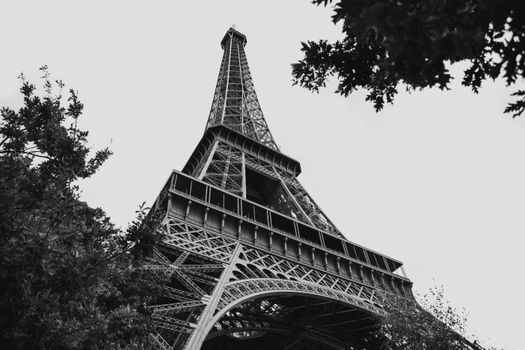 Paris, France photo 10