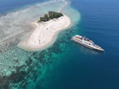 好的，以下是根据您的要求优化后的内容：
请提供需要修改的句子