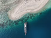 好的，我会按照您的要求对句子进行优化