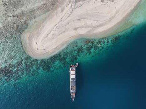 好的，我会按照您的要求对句子进行优化