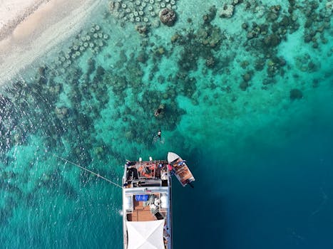 令人惊叹的雅加达游艇和珊瑚礁鸟瞰图，展示了充满活力的海洋生物和清澈的海水