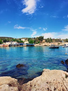 您没有提供需要修改的具体句子，我无法直接进行优化