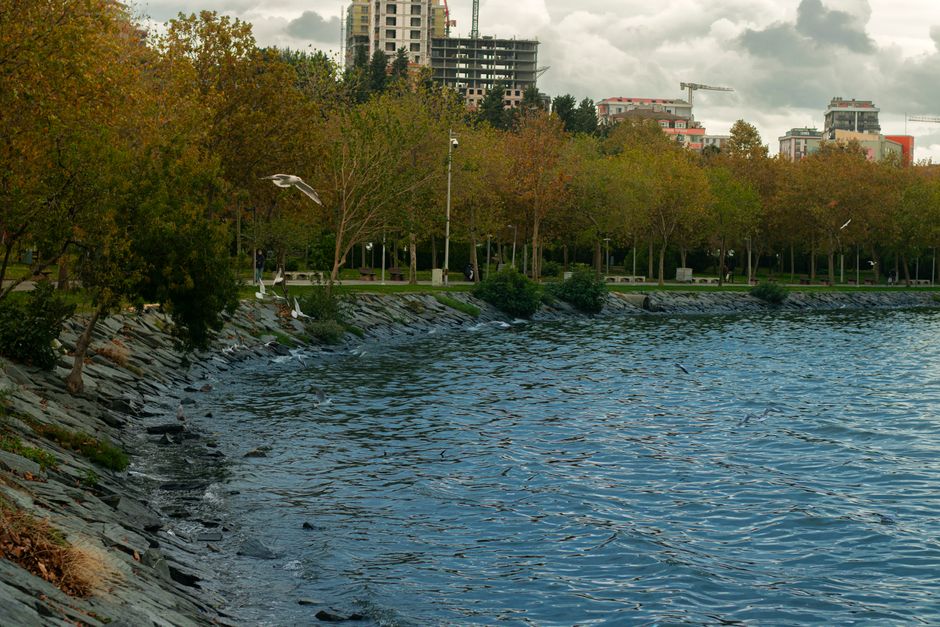 Peaceful urban waterfront park scene with autumn foliage and seagulls, perfect for travel and nature themes.
