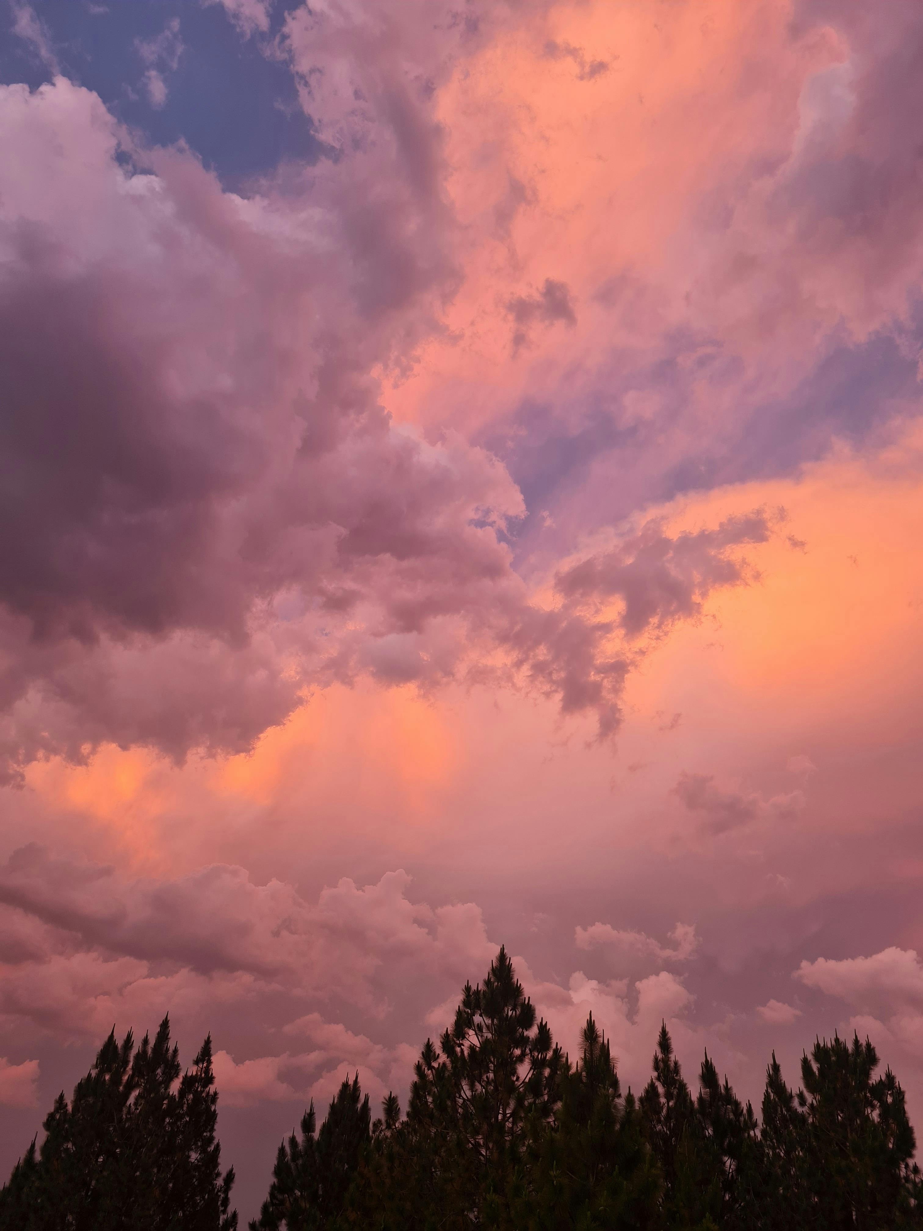 好的，我会根据您的要求进行句子的优化
