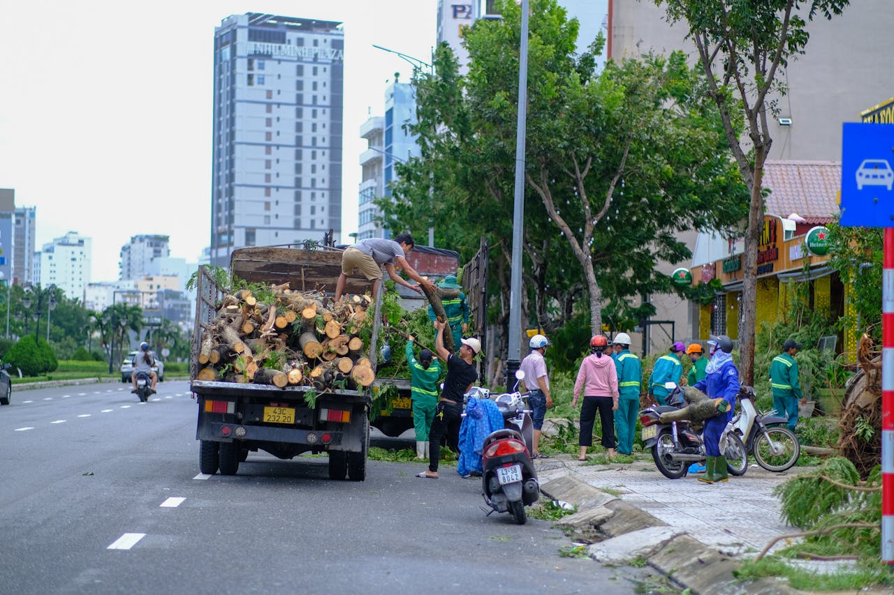 Đời thế mà vui