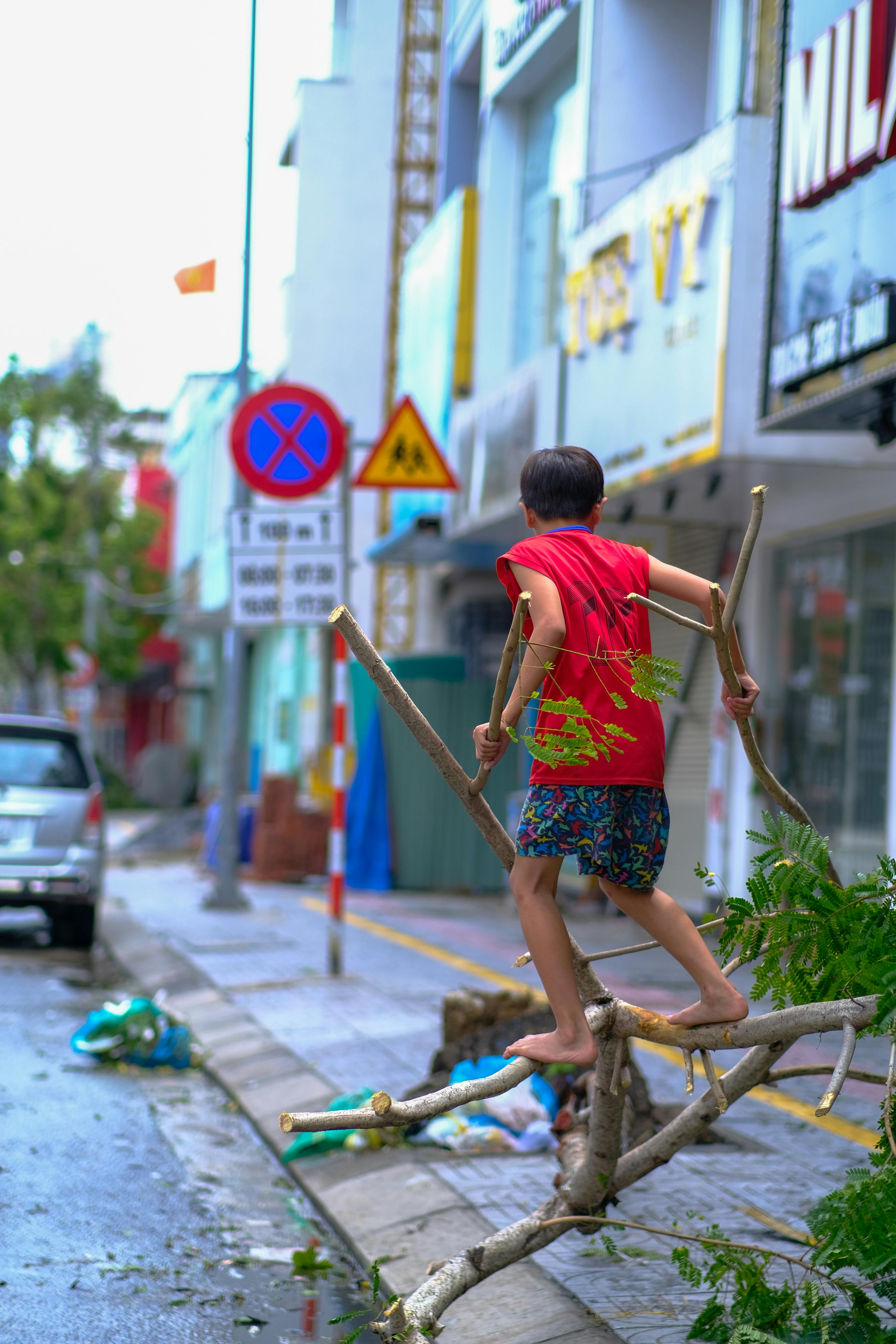 Ỷ thiên đồ long ký | Chương 16 289 – thu vien, van hoc, van hoc trung quoc, kiem hiep, kim dung, y thien do long ky, y thien do long ky chuong 16, y thien do long ky 16.