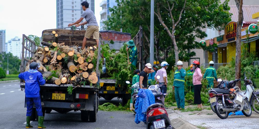 Cây Đổ Đè Chết Người Đi Đường Ở Thanh Hóa: Một Tai Nạn Thương Tâm
