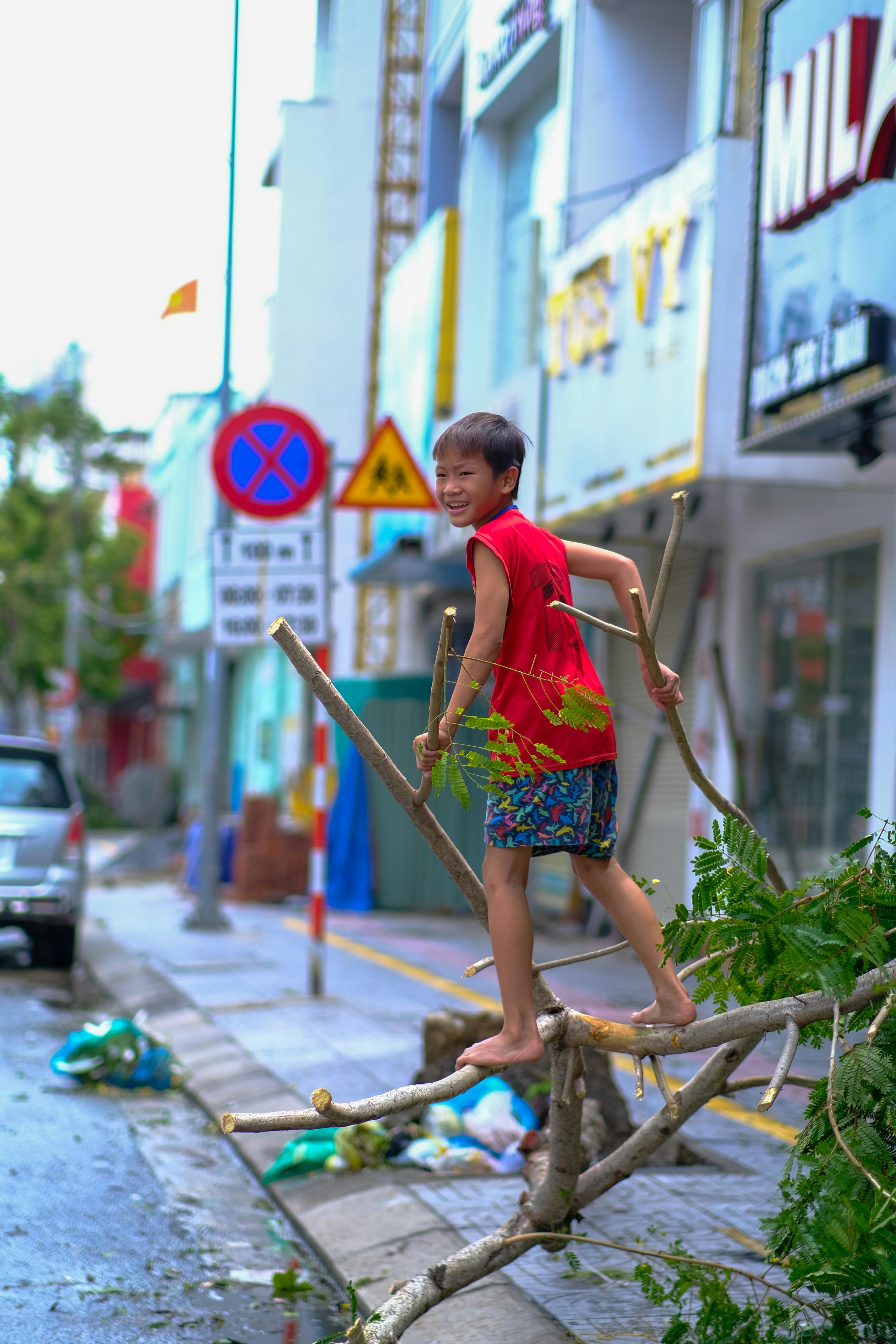 Trung tâm nghiên cứu văn học, phát triển nhà văn Việt Nam