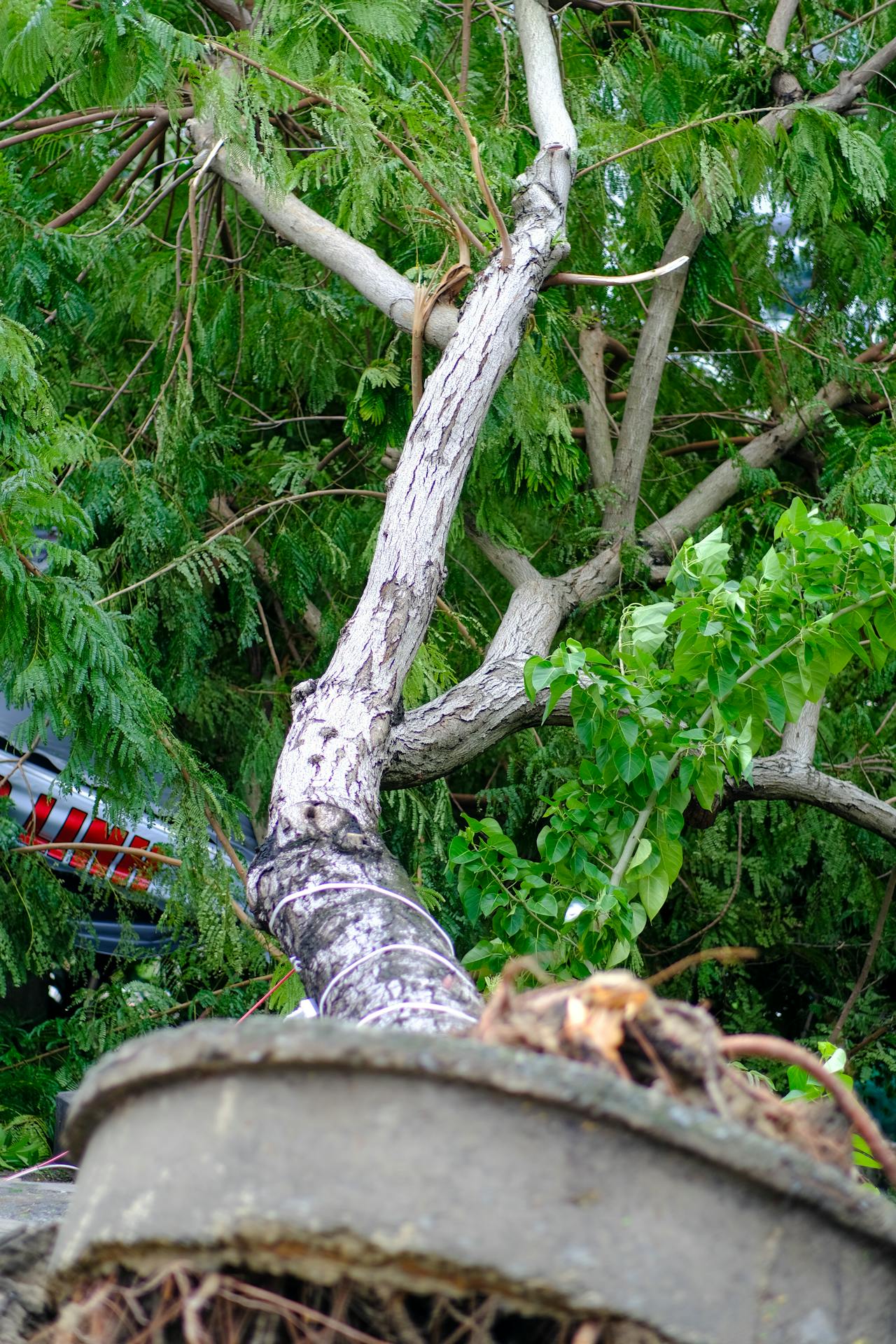 Thám tử lừng danh Conan | Chương 0818