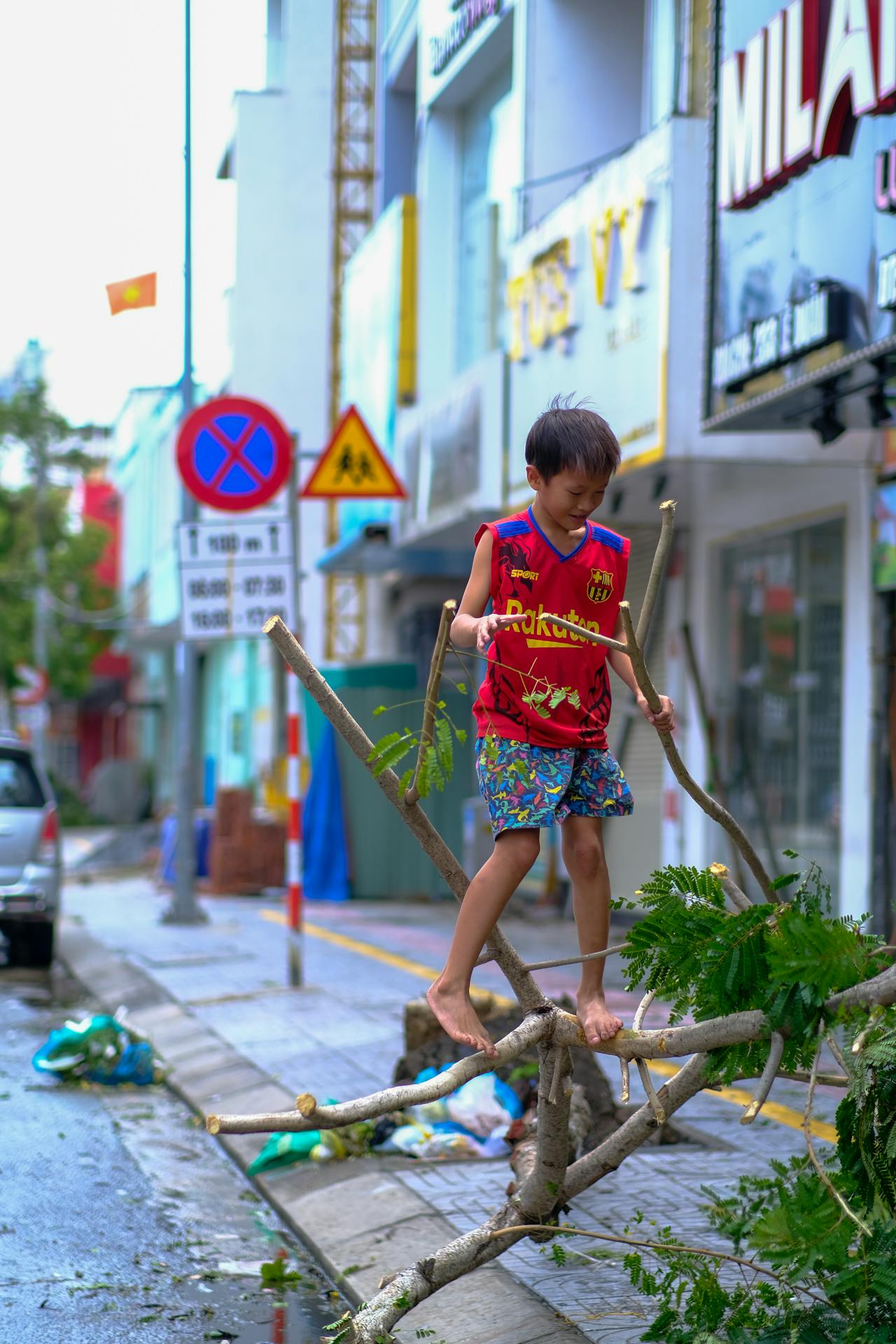 Biên niên ký chim vặn dây cót | Chương 45