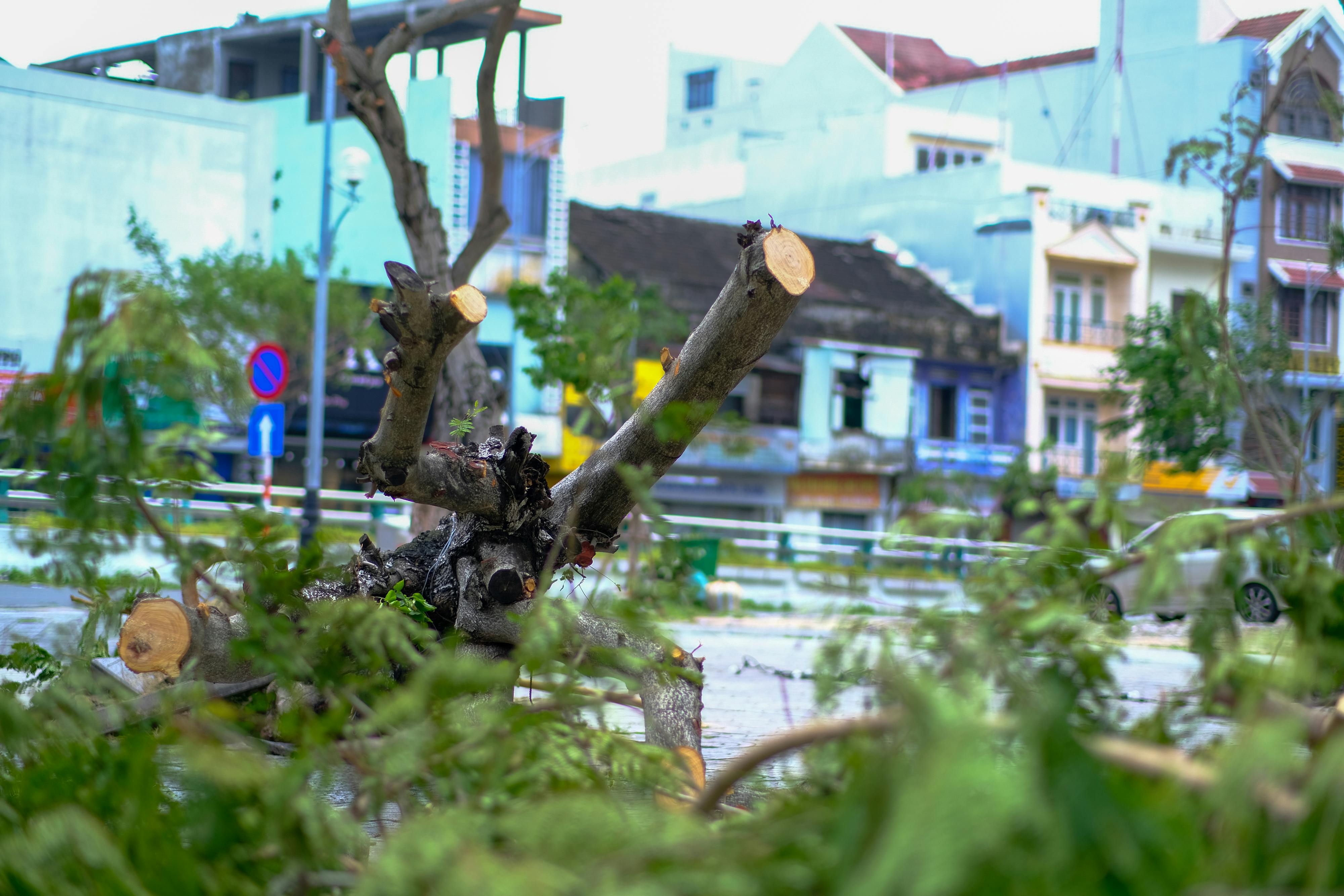 Trung tâm nghiên cứu văn học, phát triển nhà văn Việt Nam