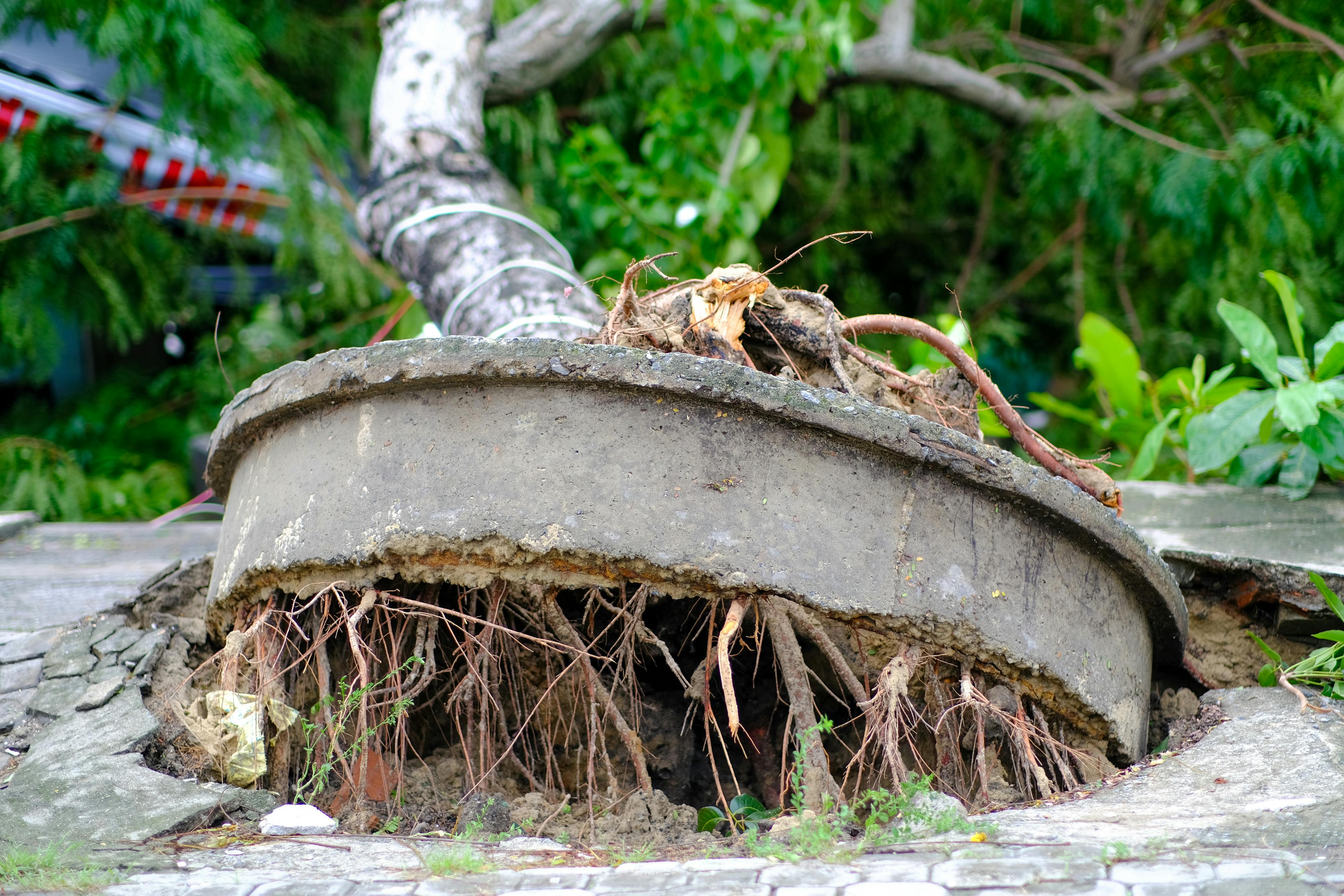 Xa lạ trong tôi | Chương 04 Xa lạ trong tôi | Chương 04 483 – thu vien, van hoc, van hoc nuoc ngoai, tieu thuyet, orhan pamuk, xa la trong toi, xa la trong toi chuong 04, xa la trong toi 04.