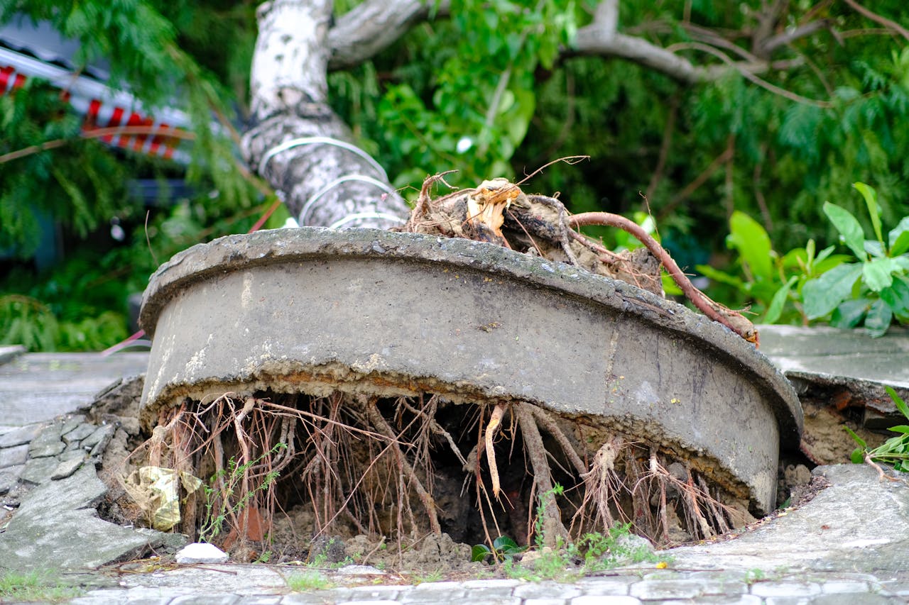 Thám tử lừng danh Conan | Chương 0305