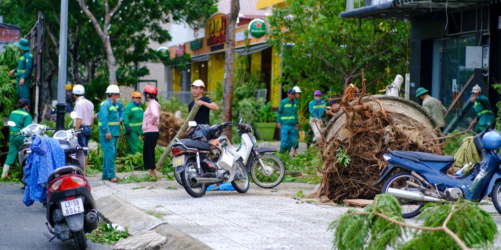Cây Đổ Đè Chết Người Đi Đường Ở Thanh Hóa: Một Tai Nạn Thương Tâm