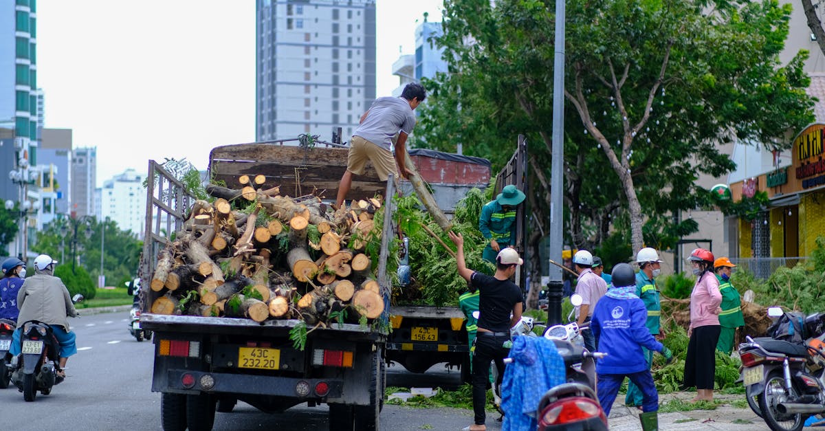 溫迪·威廉姆斯罕見採訪痛批輔助生活設施為「垃圾場」