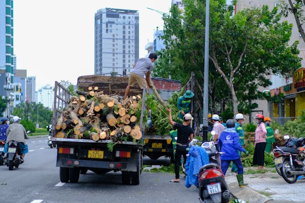 Danh sách bài viết, trang 357
