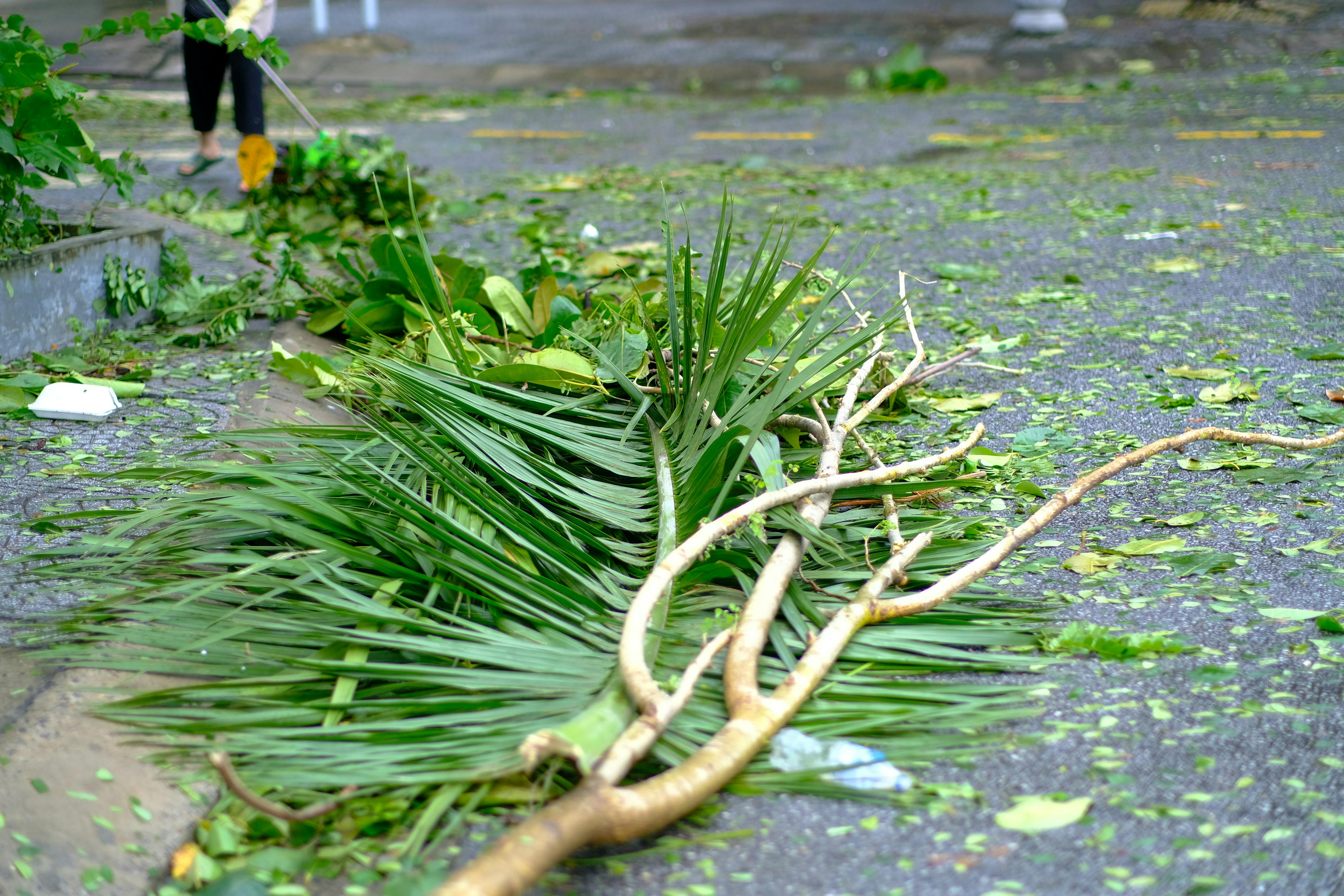 Biên niên ký chim vặn dây cót | Chương 26 627 – thu vien, van hoc, van hoc nhat ban, haruki murakami, bien nien ky chim van day cot, bien nien ky chim van day cot chuong 26, bien nien ky chim van day cot 26.