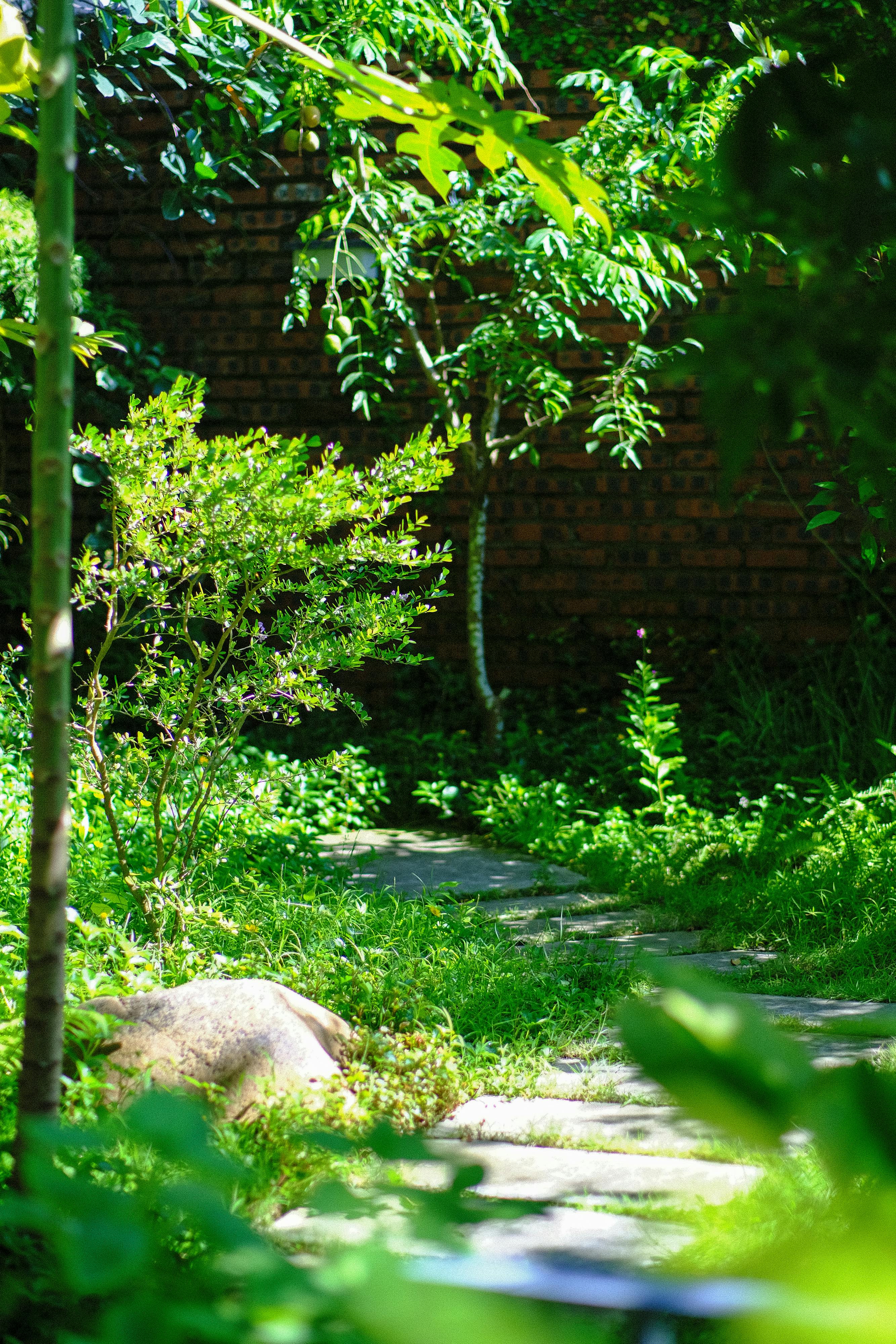 Trung tâm nghiên cứu văn học, phát triển nhà văn Việt Nam