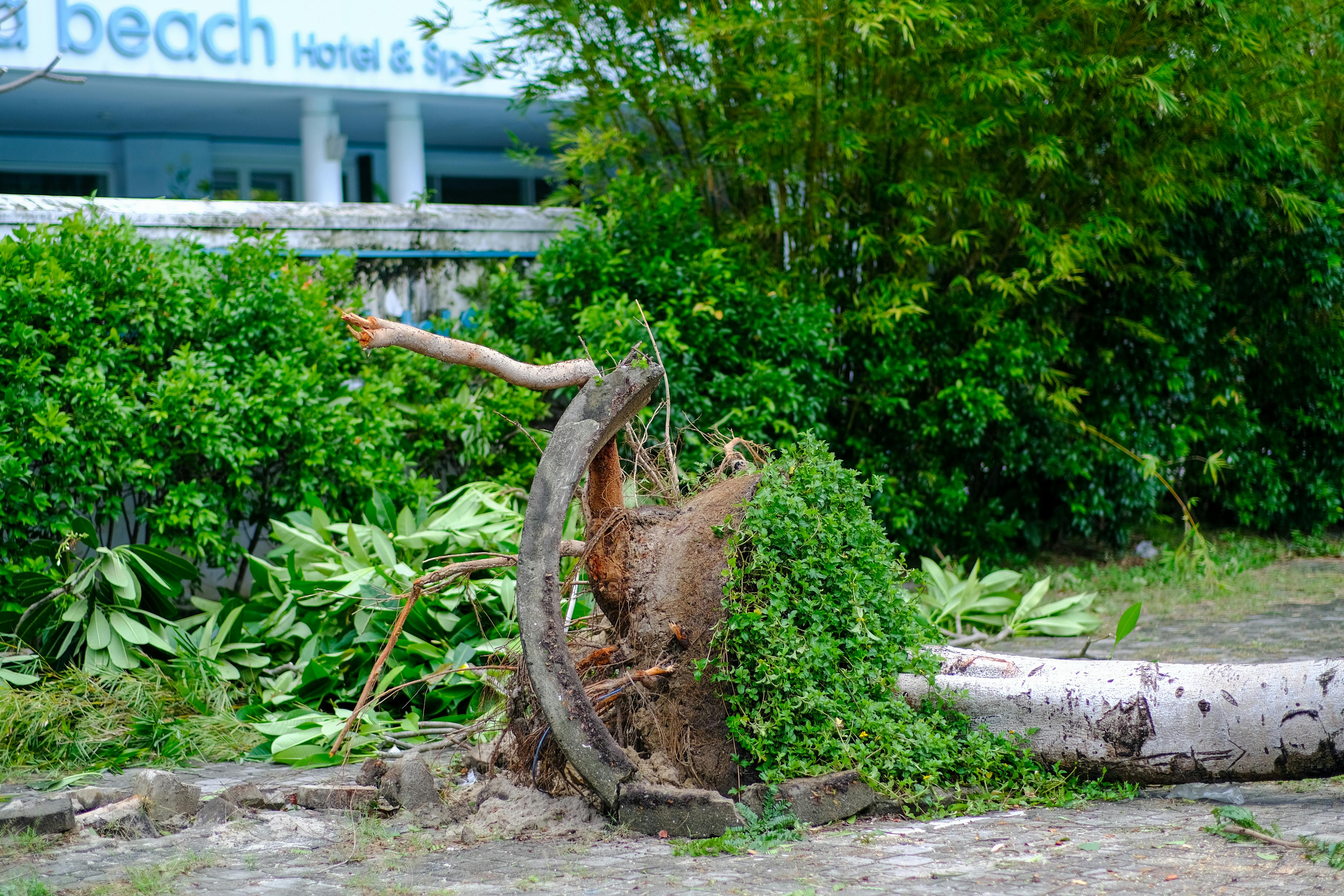 Thám tử lừng danh Conan | Chương 0117 884 – manga, gosho aoyama, case closed, tham tu lung danh conan, conan, detective conan, truyen tranh, trinh tham, pha an, trinh tham, kinh di, truyen conan, doc truyen conan, tham tu lung danh conan chuong 0107, tham tu lung danh conan 0107, tham tu lung danh conan 0117.