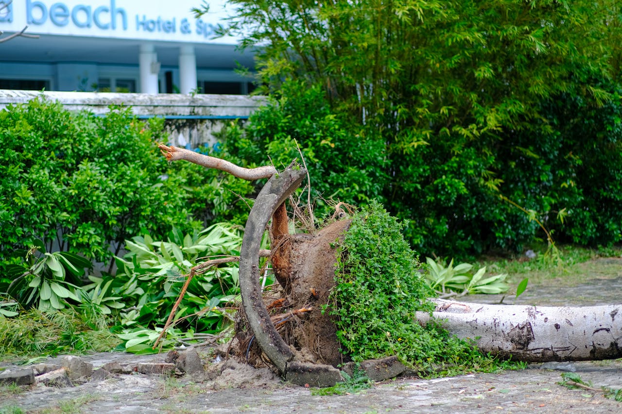 Những cách viết lách hay