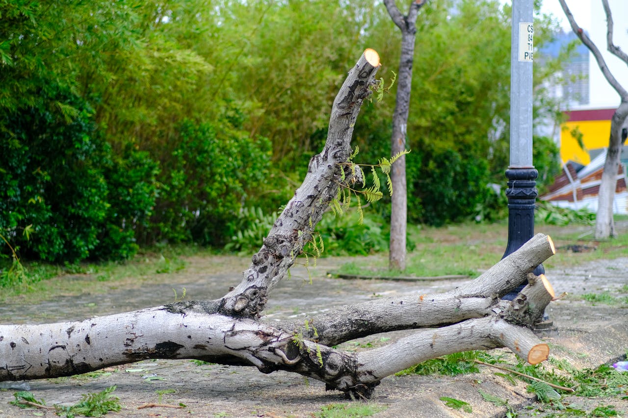 Quyền lực đích thực | Chương 09