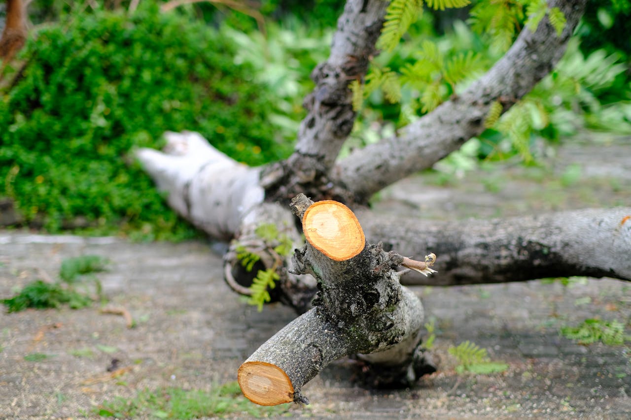 Đạo Phật áp dụng vào đời sống hàng ngày | Chương 05