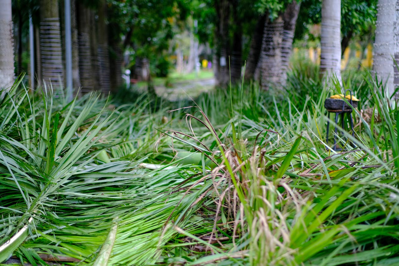 Thám tử lừng danh Conan | Chương 1133