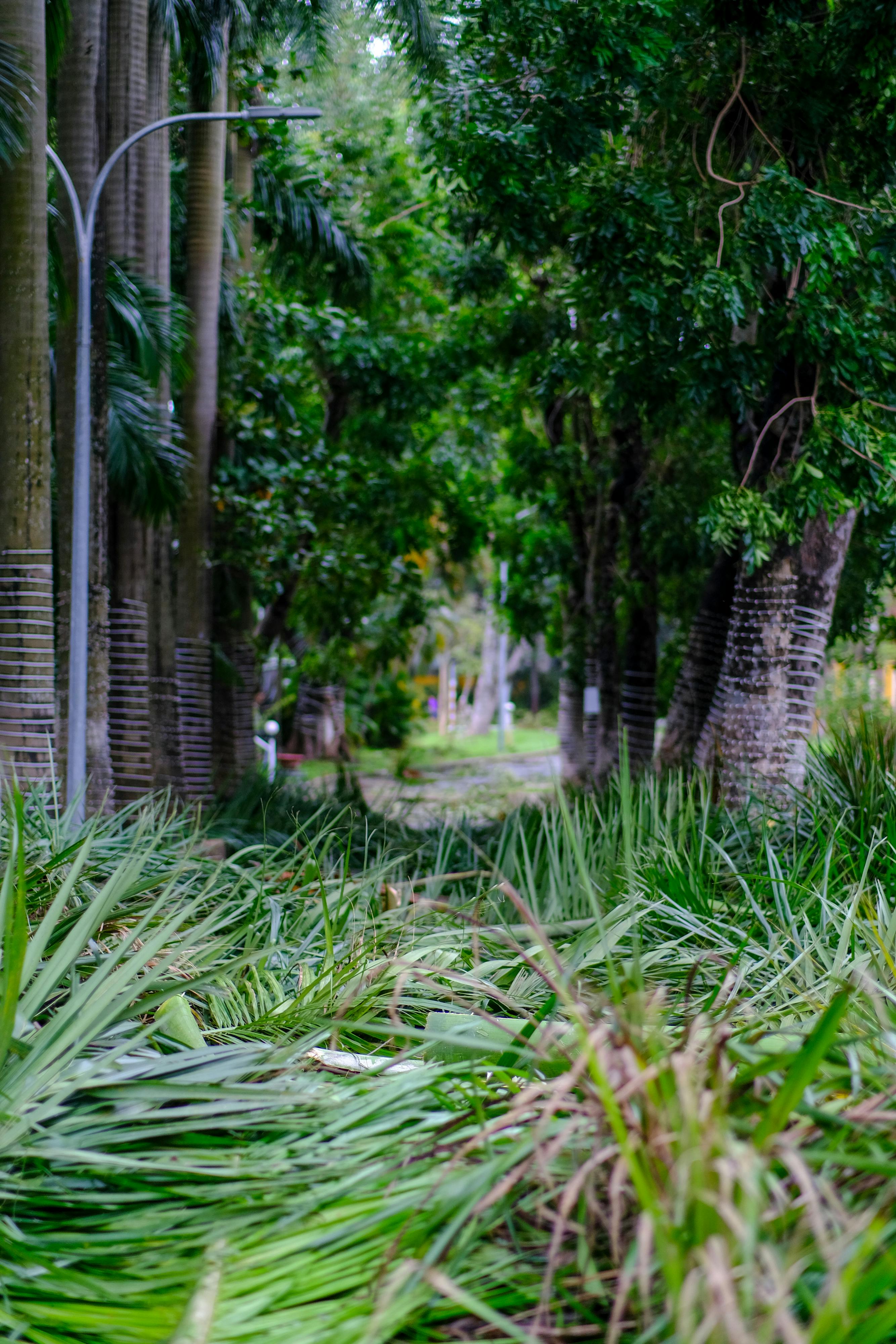 Trung tâm nghiên cứu văn học, phát triển nhà văn Việt Nam