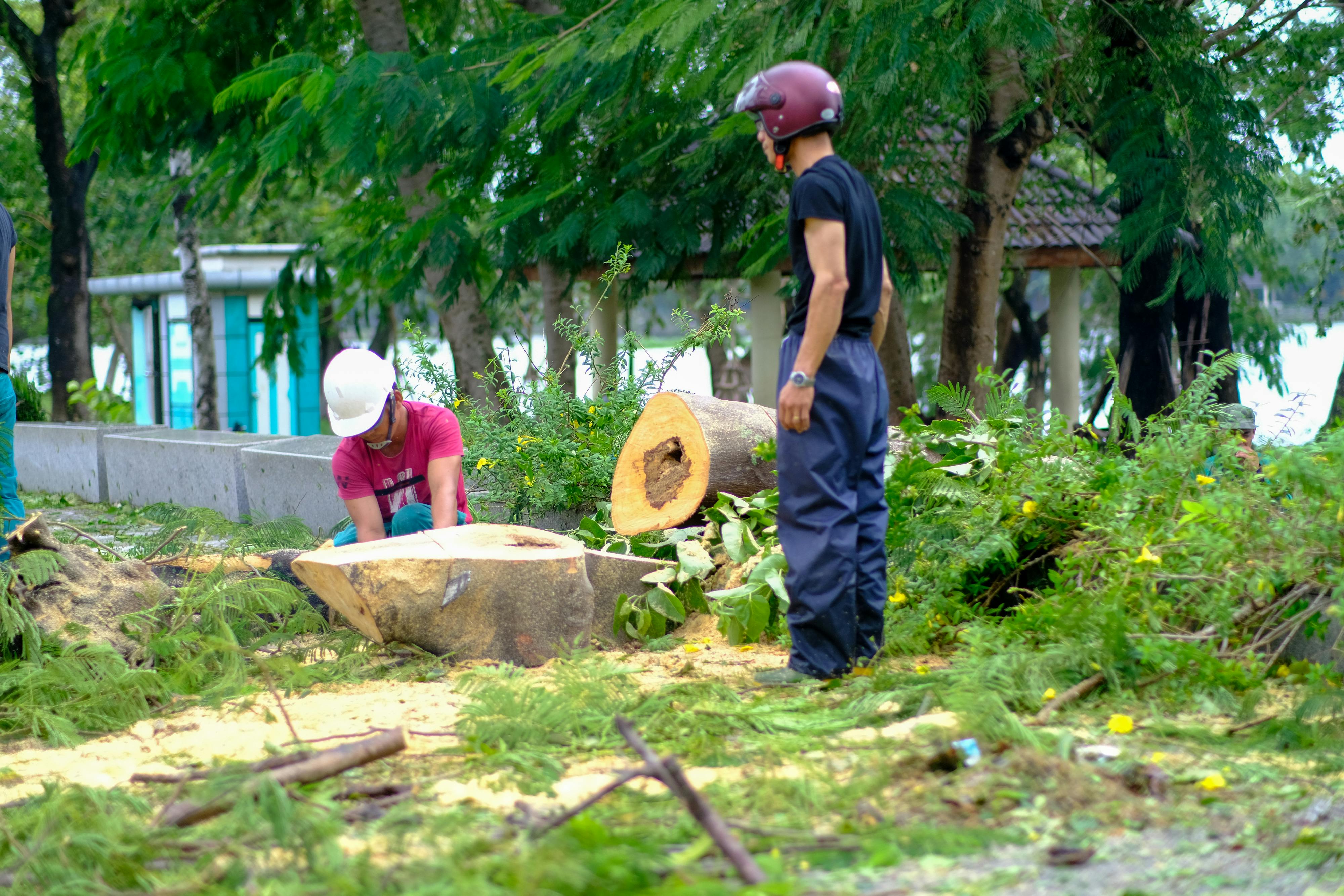 Trung tâm nghiên cứu văn học, phát triển nhà văn Việt Nam