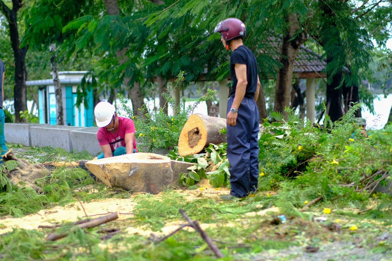 Hiểu về trái tim | Chương 12