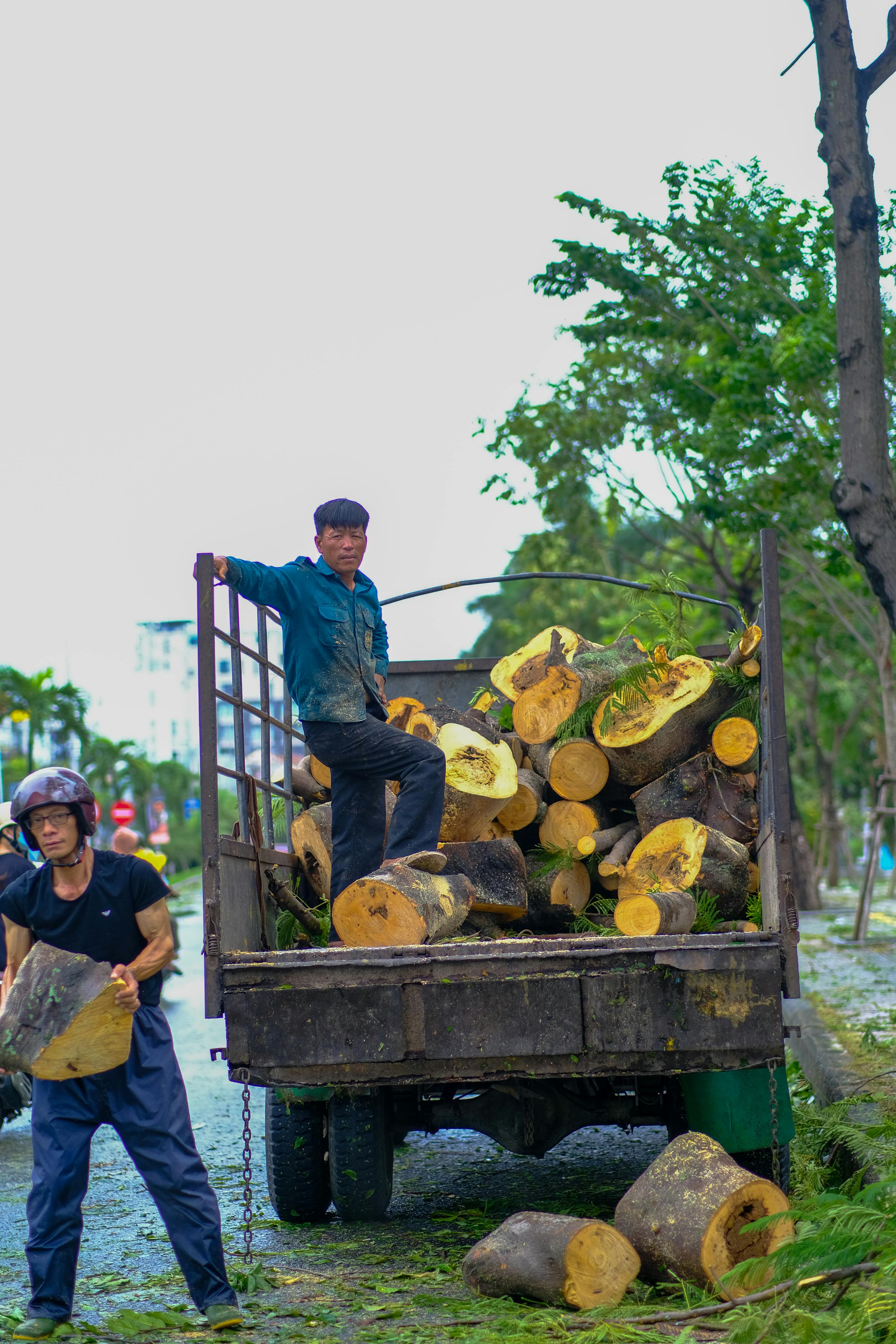 Trung tâm nghiên cứu văn học, phát triển nhà văn Việt Nam