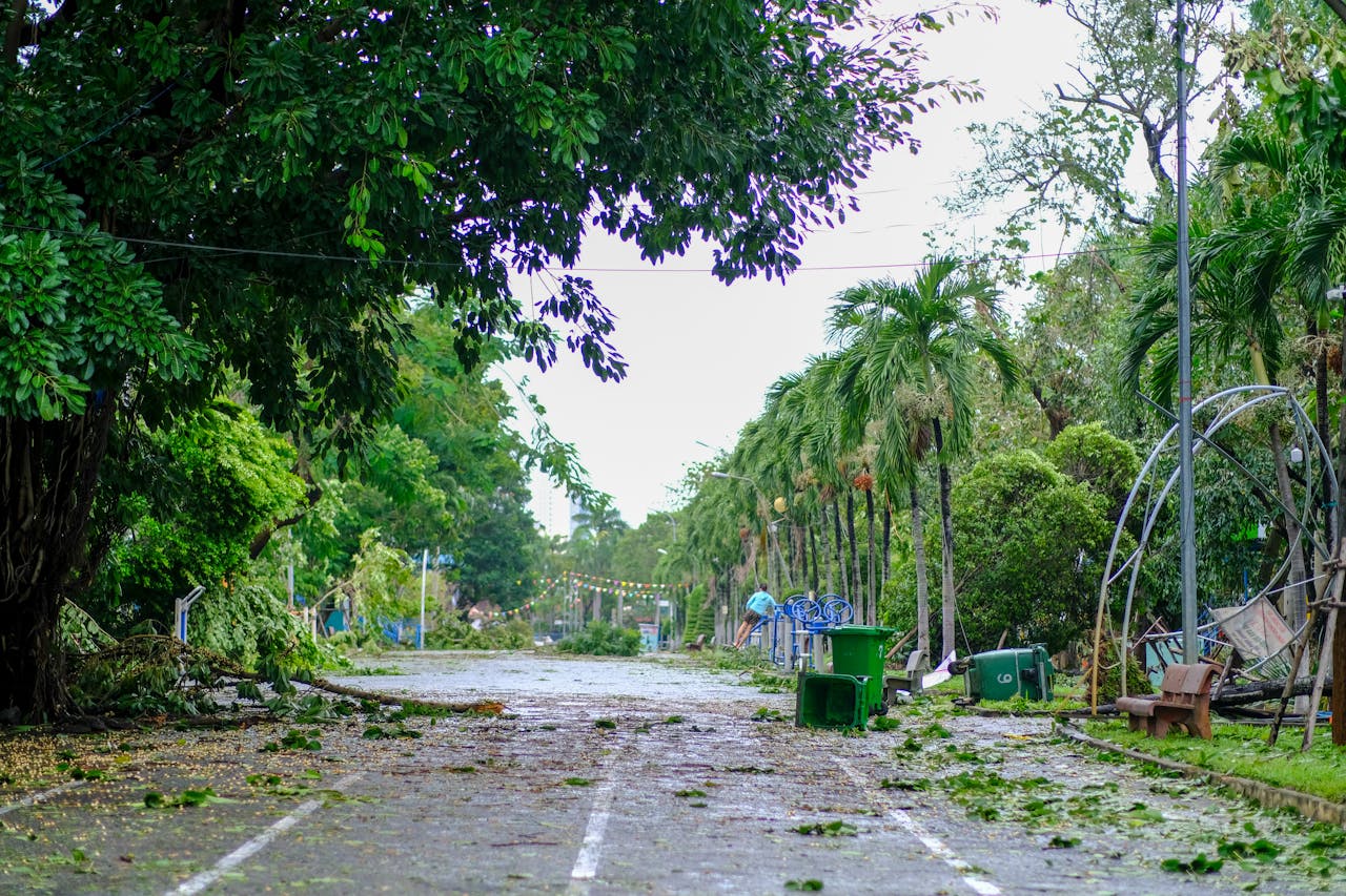 Các triệu chứng bệnh mèo bất thường cần chú ý