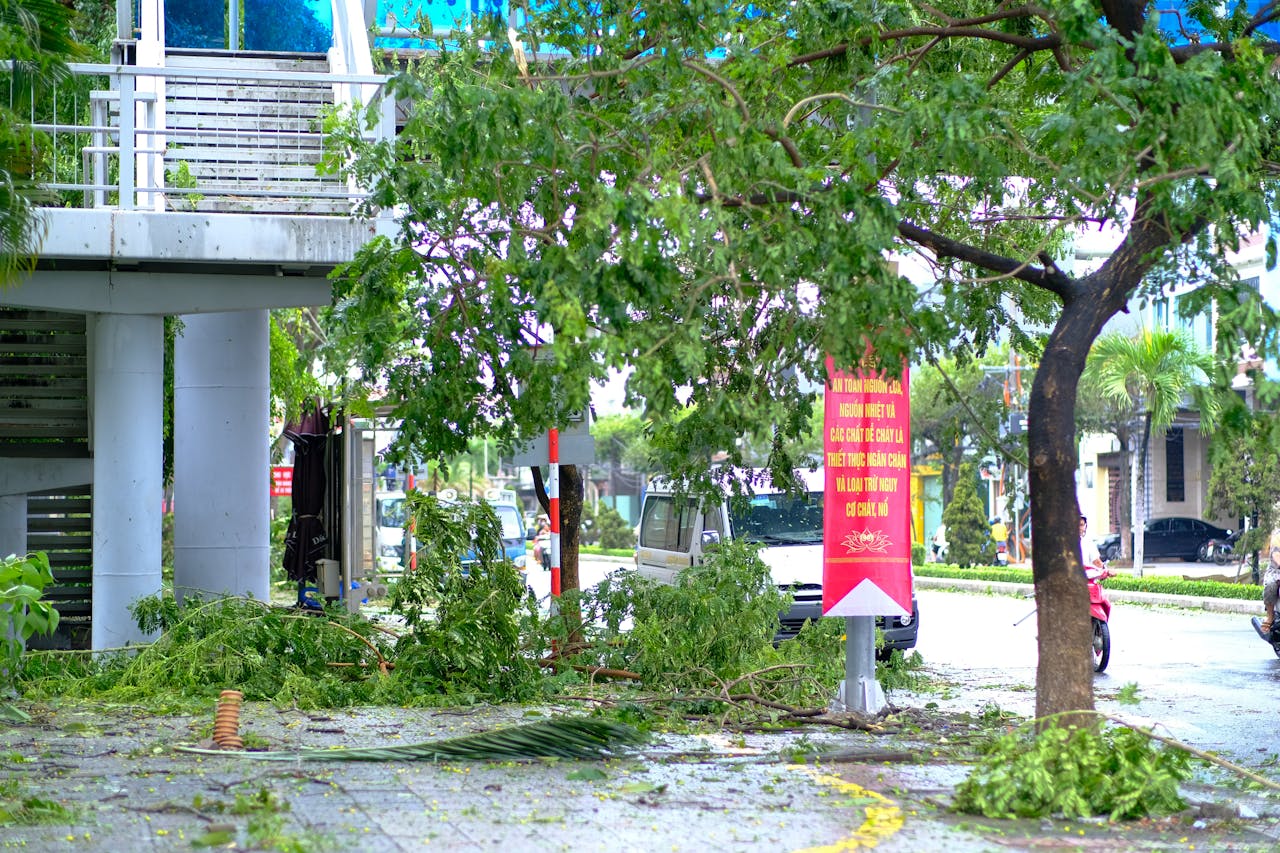 Vì sao vàng và chứng khoán tăng mạnh phiên đầu tuần?