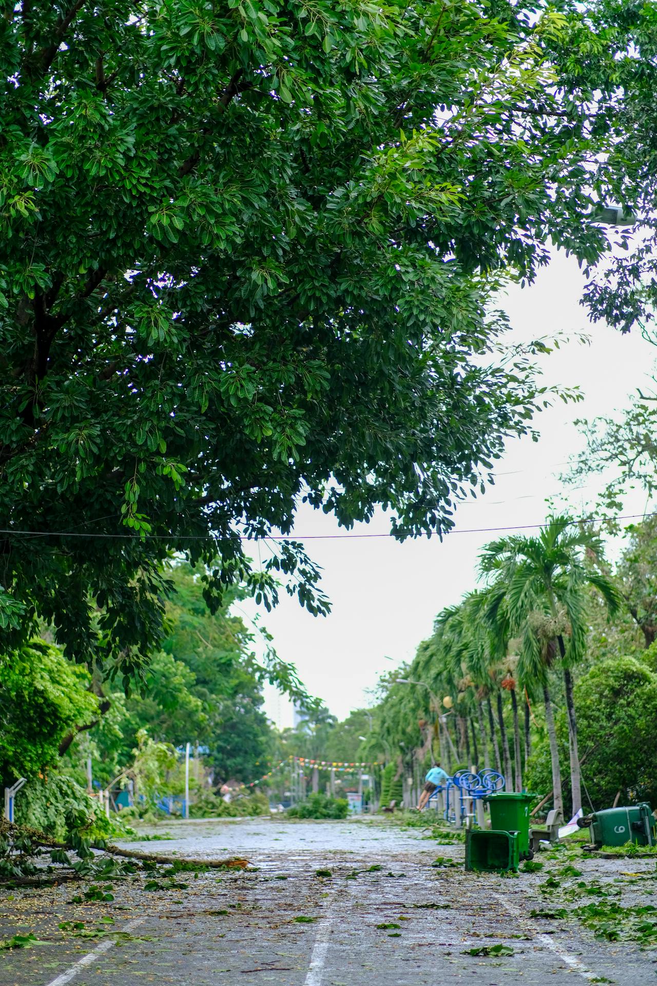 Những ngọn gió hua tát