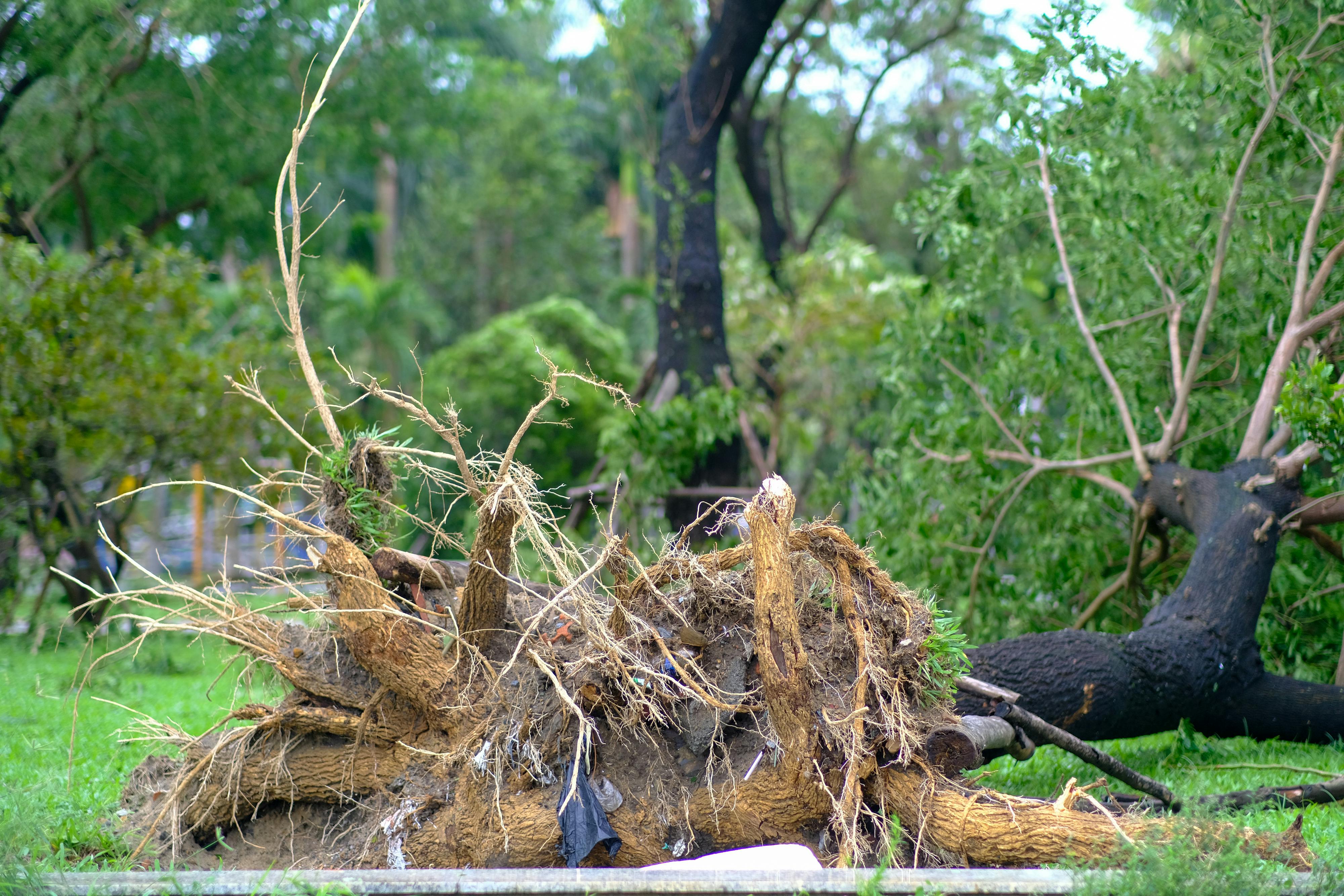 Thám tử lừng danh Conan | Chương 0155 751 – manga, gosho aoyama, case closed, tham tu lung danh conan, conan, detective conan, truyen tranh, trinh tham, pha an, trinh tham, kinh di, truyen conan, doc truyen conan, tham tu lung danh conan chuong 0155, tham tu lung danh conan 0155.