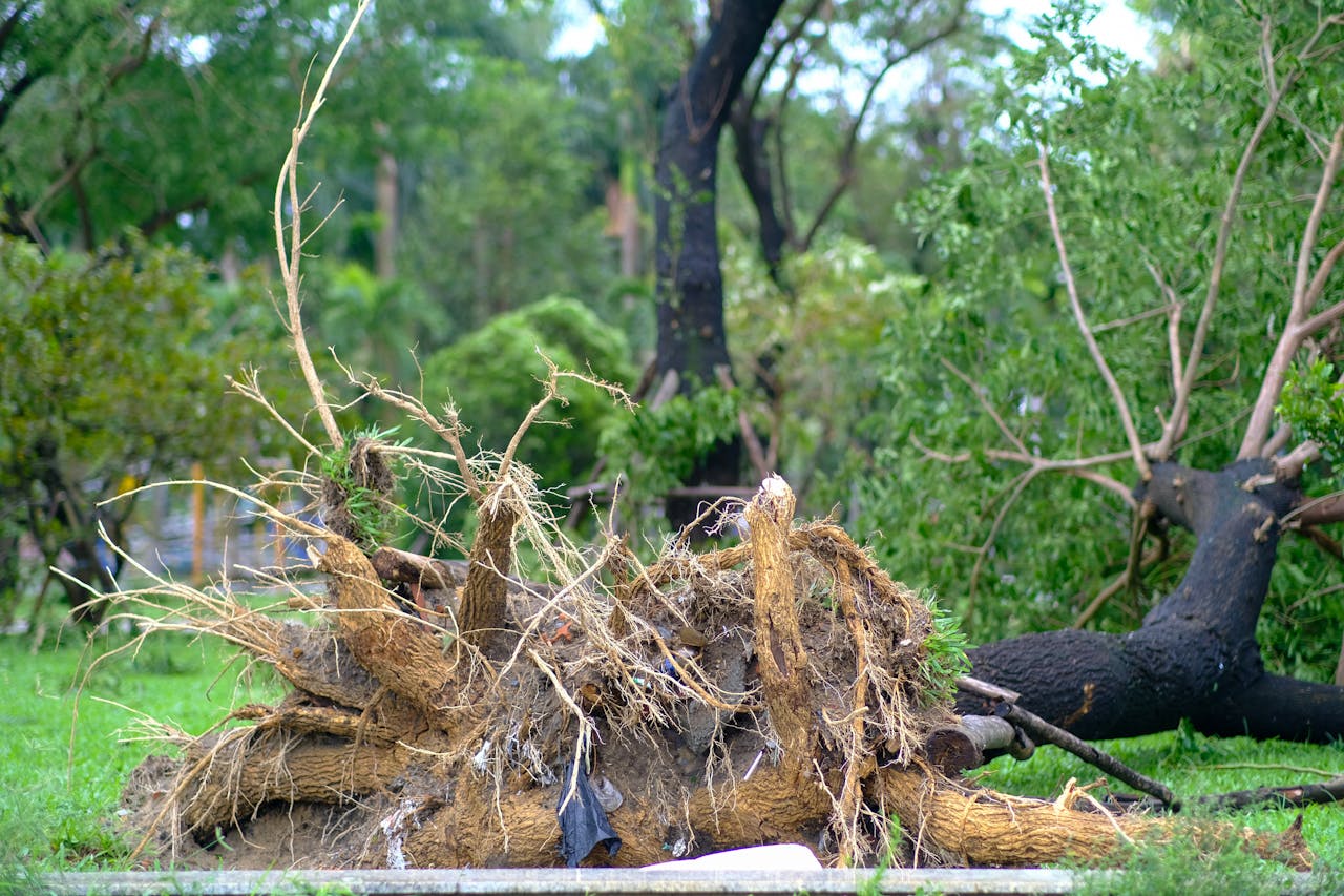 Thám tử lừng danh Conan | Chương 0402