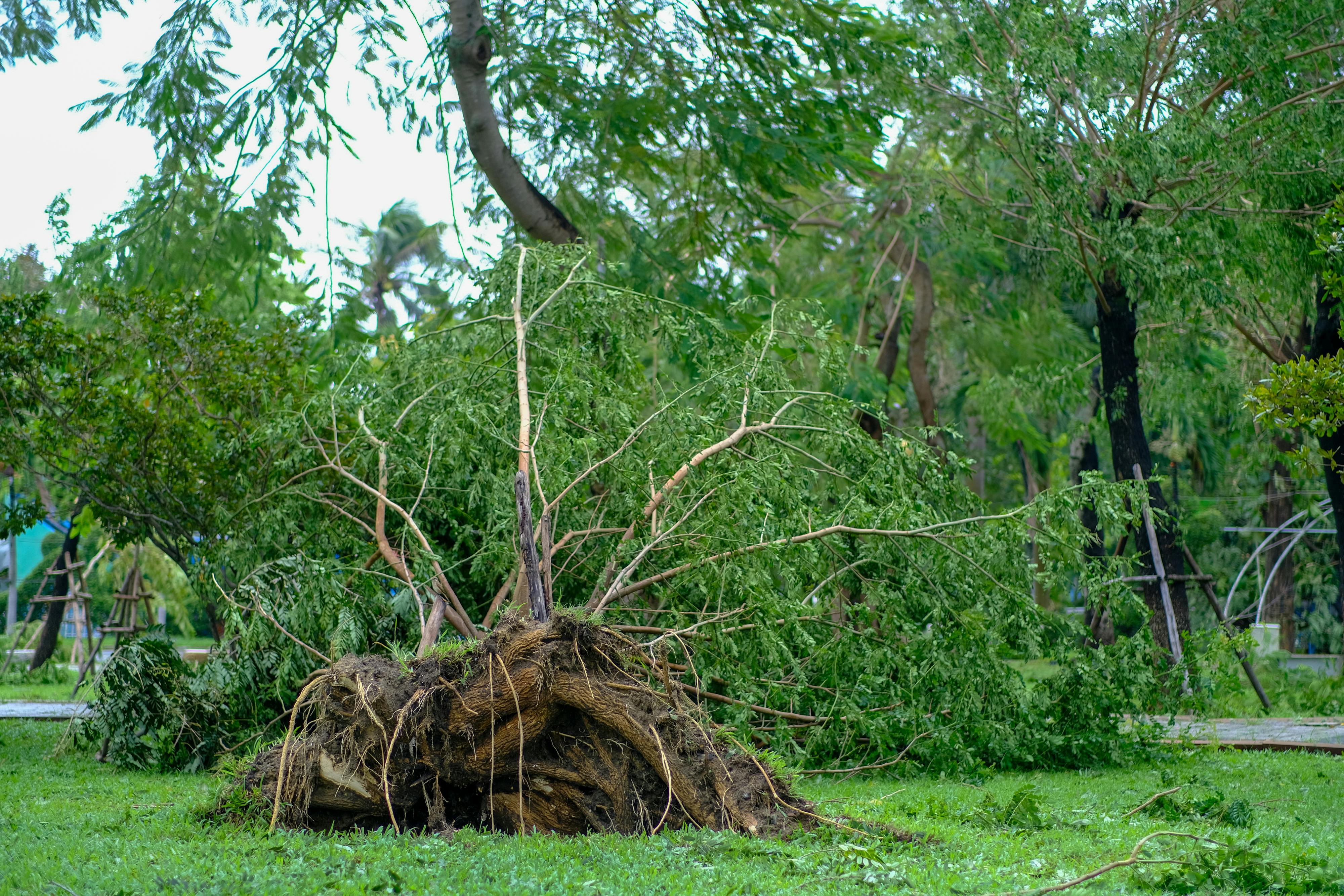 Trung tâm nghiên cứu văn học, phát triển nhà văn Việt Nam