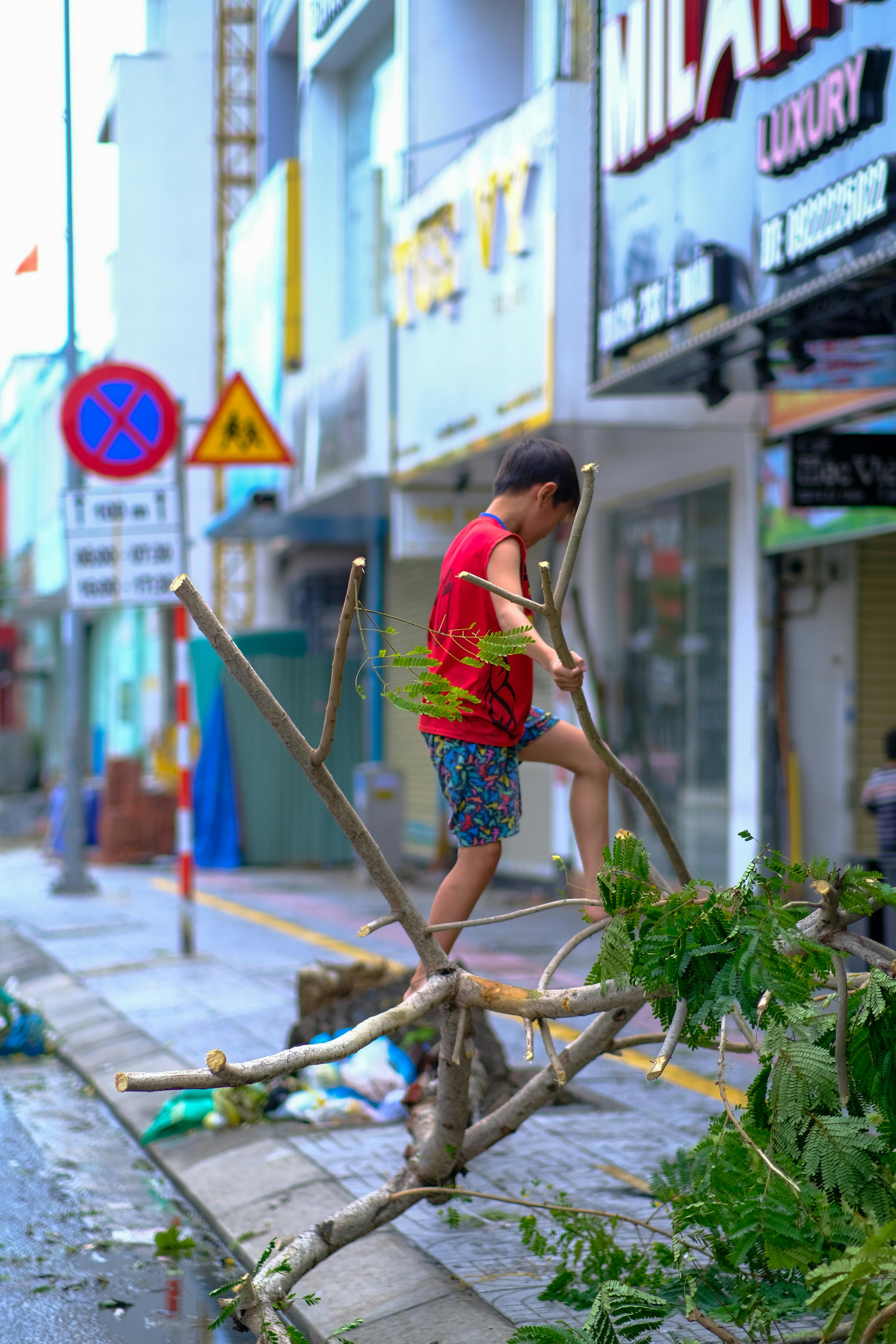 Trung tâm nghiên cứu văn học, phát triển nhà văn Việt Nam