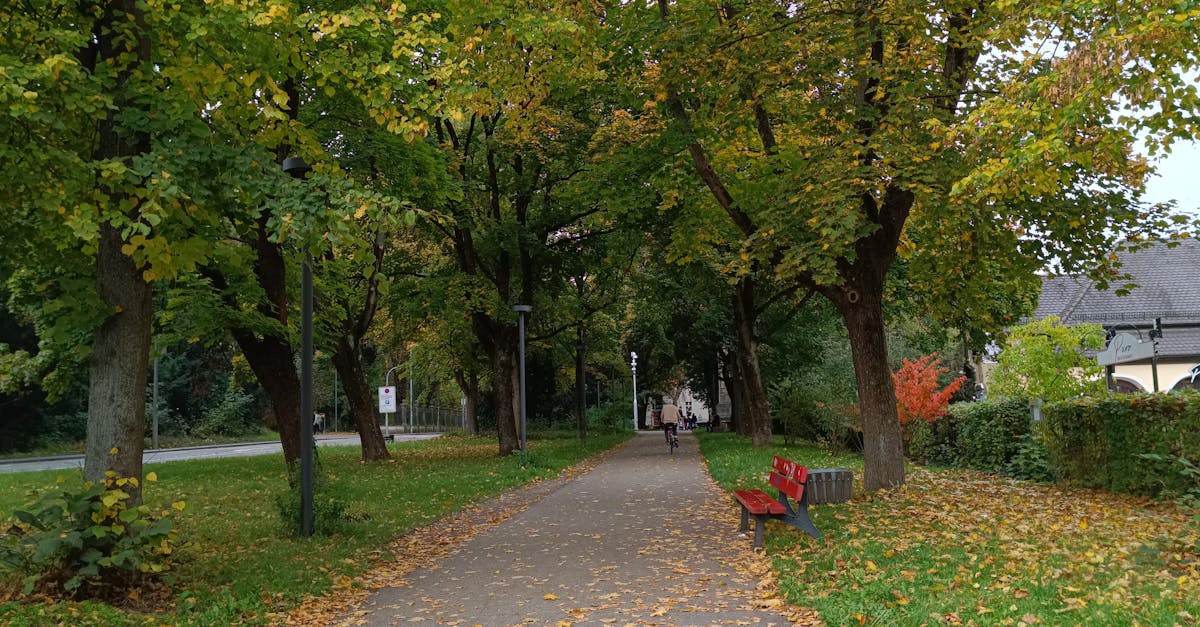A serene pathway through a park lined with vibrant autumn trees and fallen leaves.