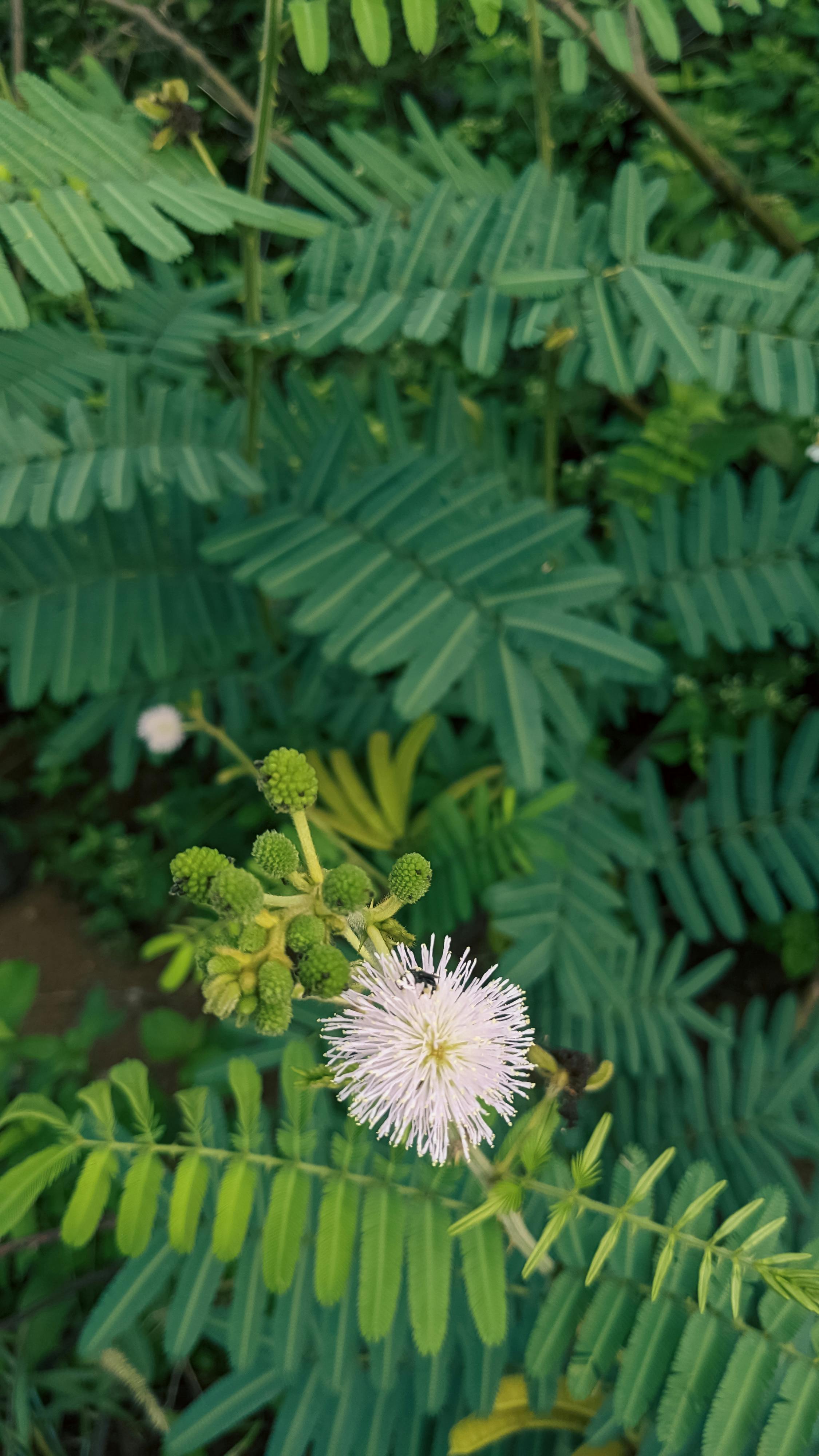 Viết đoạn văn giới thiệu bản thân lớp 12 881 – viet lach, ky nang viet, viet doan van gioi thieu ban than, doan van gioi thieu ban than, doan van gioi thieu, gioi thieu ban than, viet gioi thieu ban than, viet doan van gioi thieu ban than lop 12, doan van gioi thieu ban than lop 12, doan van gioi thieu lop 12, gioi thieu ban than lop 12, viet gioi thieu ban than lop 12, viet doan van gioi thieu ban than cap 3, doan van gioi thieu ban than cap 3, doan van gioi thieu cap 3, gioi thieu ban than cap 3, viet gioi thieu ban than cap 3, van gioi thieu ban than lop 12.