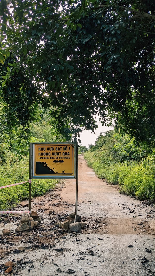 Trung tâm nghiên cứu văn học, phát triển nhà văn Việt Nam